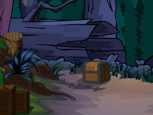 找寻深林的宝藏