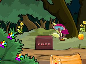 逃出茂密的森林