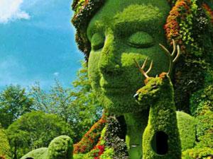 逃出蒙特利尔植物园