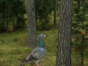 逃出被遗忘的洞穴