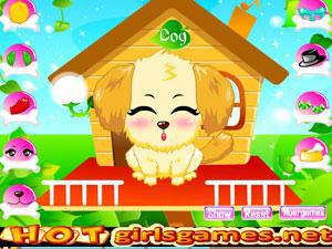 打扮可爱宠物狗