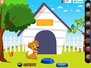 我的完美宠物屋