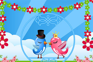 鸟儿的爱情故事