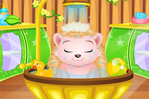 照顾萌萌小刺猬