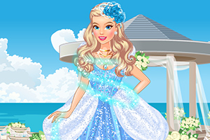 灰姑娘准备婚礼